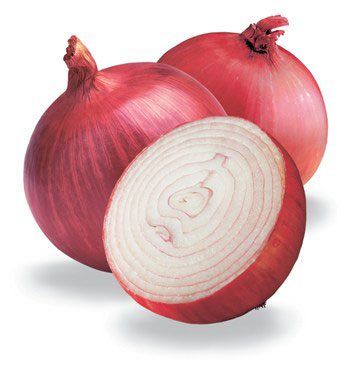      onion.jpg